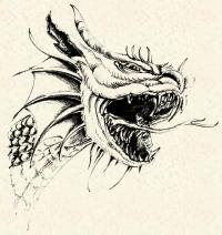 [Dragon head (by Katrin Winzer)]